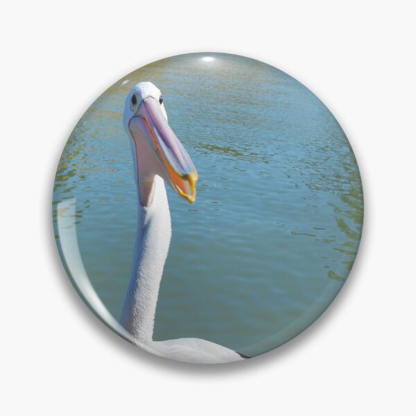 Item preview, "The Pelican Files: Neighborhood Gossip Extraordinaire" designed and sold by A-Work-Of-Art.