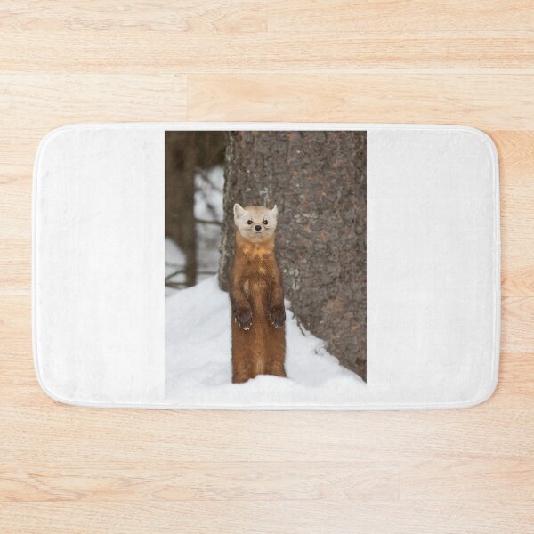 Item preview, Pine Marten - Algonquin Park designed and sold by James Cumming.