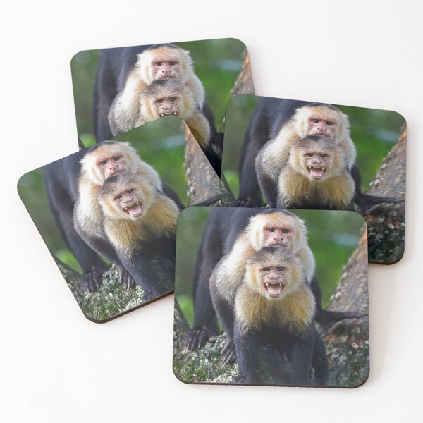 Item preview, Capuchin Monkey Photobomb - Costa Rica designed and sold by James Cumming.