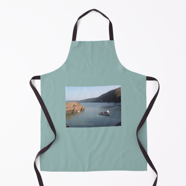 Item preview, FISHING BOAT CLOVELLY HARBOUR DEVON designed and sold by Richard Brookes Photography.