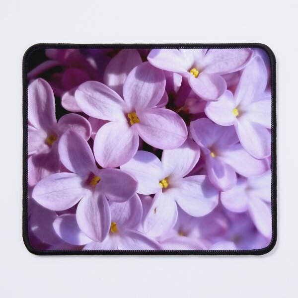 Item preview, Lilacs in Bloom designed and sold by bjtomiko.