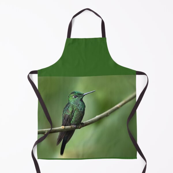 Aperçu de l'œuvre Green-Crowned Brilliant Hummingbird - Costa Rica créée et vendue par James Cumming.