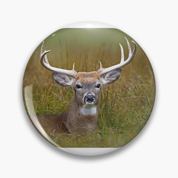 Item preview, White-tailed deer Buck designed and sold by James Cumming.