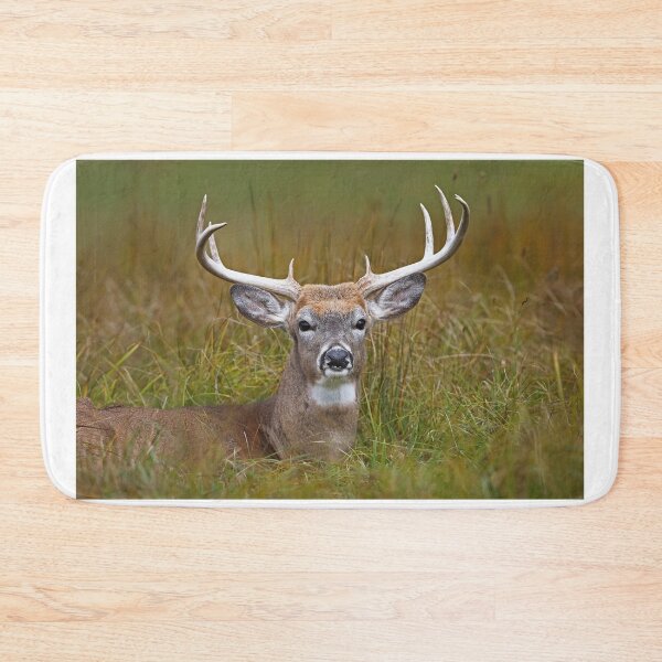 Item preview, White-tailed deer Buck designed and sold by James Cumming.