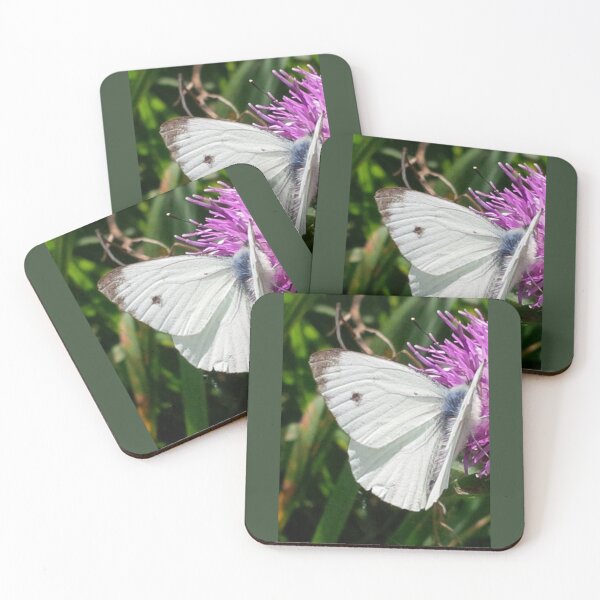 Item preview, LARGE CABBAGE WHITE BUTTERFLY FEEDING ON KNAPWEED designed and sold by Richard Brookes Photography.