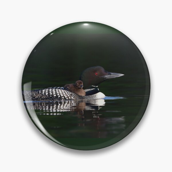 Item preview, Common loon with chick designed and sold by James Cumming.