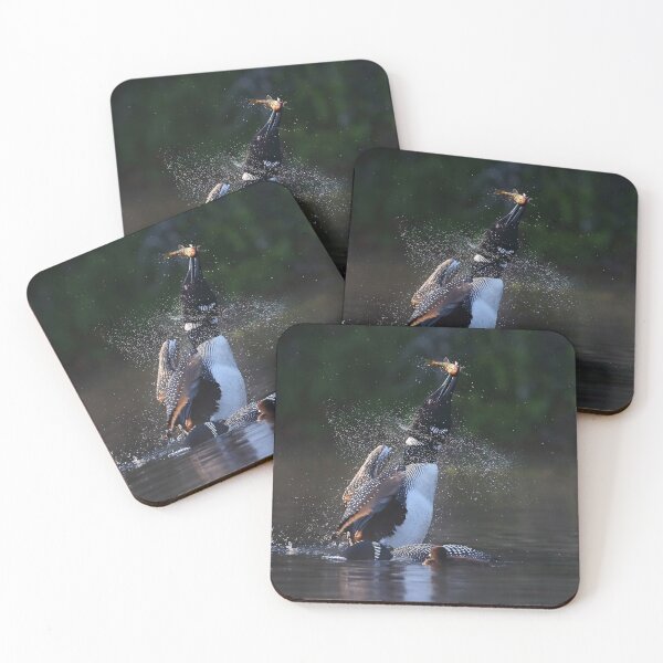 Item preview, Pisces Rising - Common loon with fish designed and sold by James Cumming.
