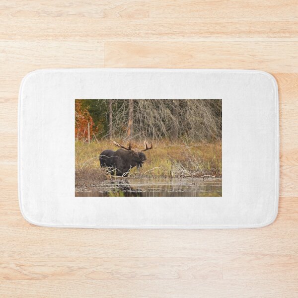 Item preview, Smiling Moose, Algonquin park designed and sold by James Cumming.