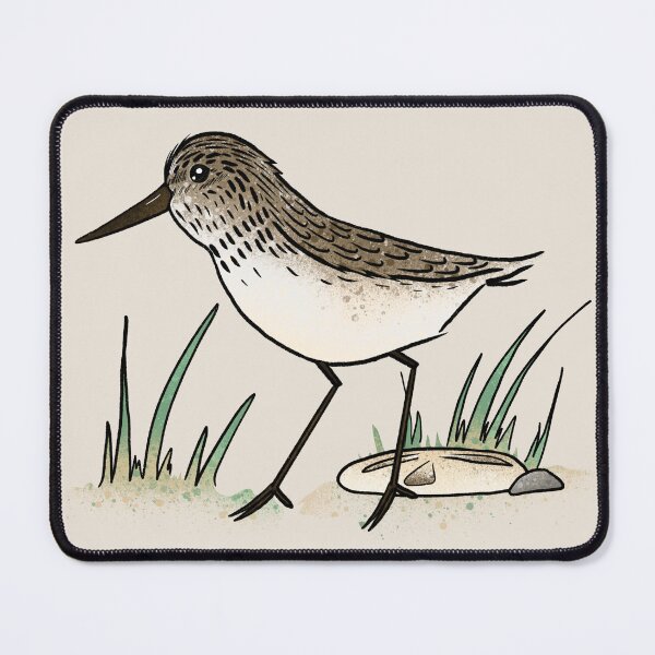 Item preview, Cute Sandpiper Shorebird - Whimsical Beach Illustration designed and sold by TheArtOfTreble.