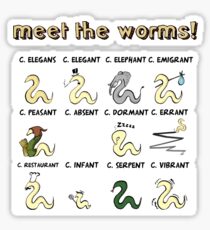 meet the worms Sticker