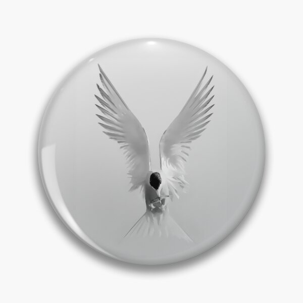 Item preview, Common Tern designed and sold by James Cumming.