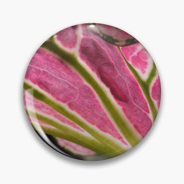Item preview, Caladium designed and sold by ROSE ANN BANILAR.