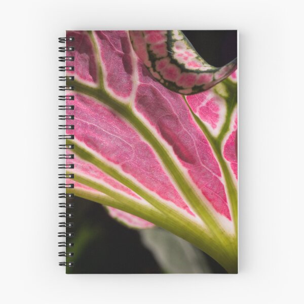 Item preview, Caladium designed and sold by ROSE ANN BANILAR.