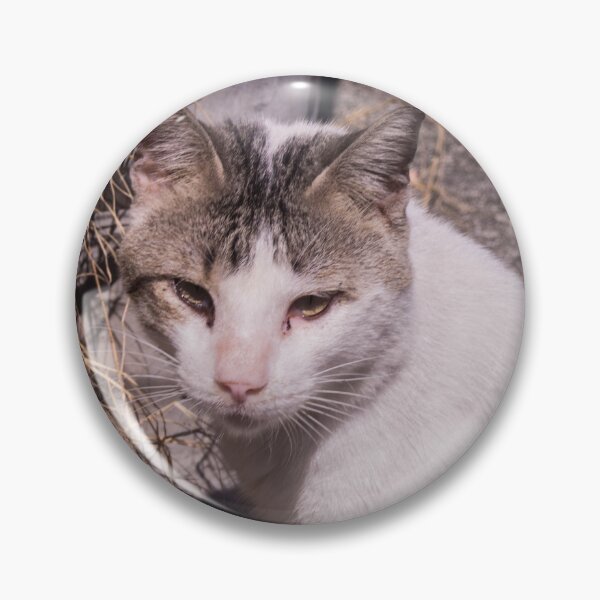 Item preview, Grass Eating Cat designed and sold by ROSE ANN BANILAR.