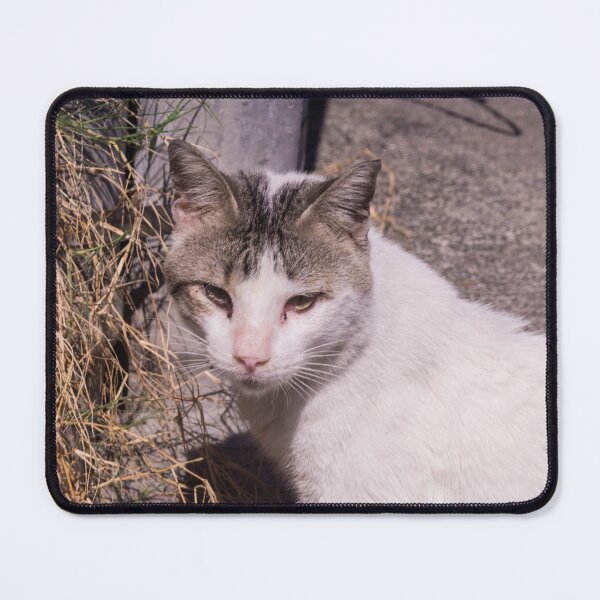 Item preview, Grass Eating Cat designed and sold by ROSE ANN BANILAR.