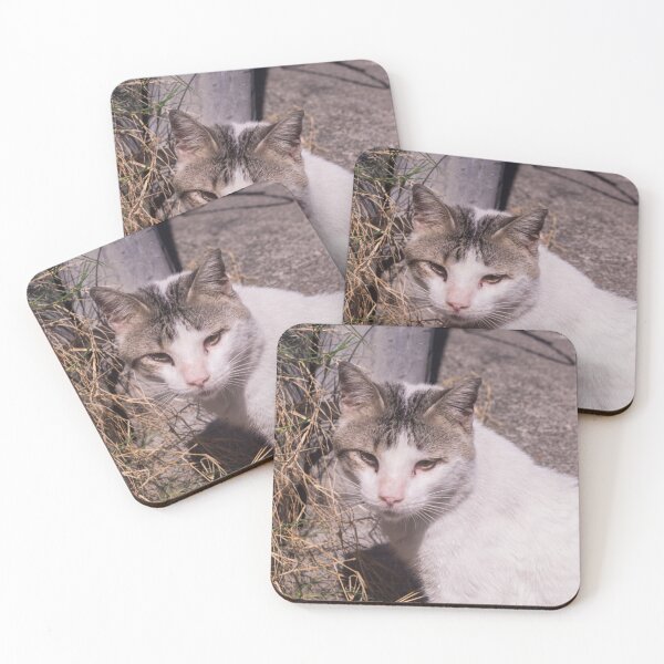 Item preview, Grass Eating Cat designed and sold by ROSE ANN BANILAR.