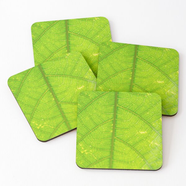 Item preview, Great Detail of a Leaf  designed and sold by ROSE ANN BANILAR.