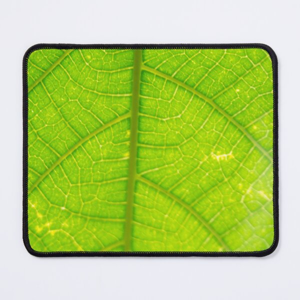 Item preview, Great Detail of a Leaf  designed and sold by ROSE ANN BANILAR.
