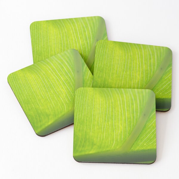 Item preview, Great Detail of a Leaf 02 designed and sold by ROSE ANN BANILAR.