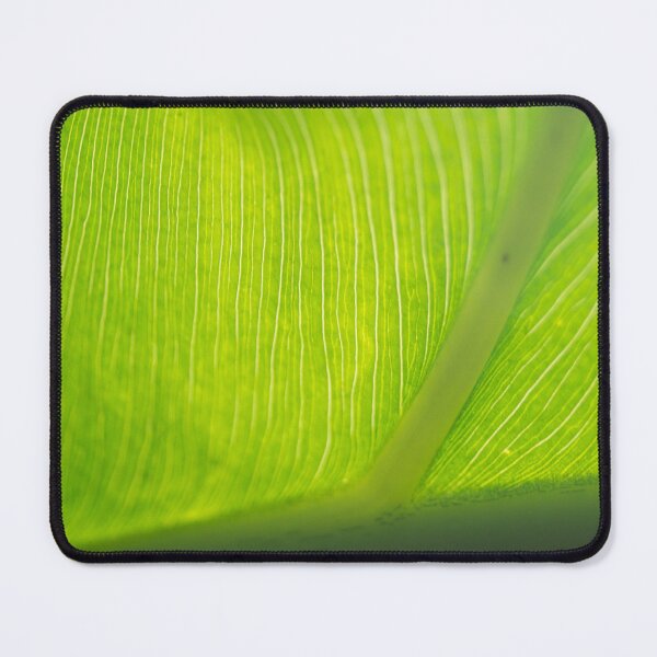 Item preview, Great Detail of a Leaf 02 designed and sold by ROSE ANN BANILAR.