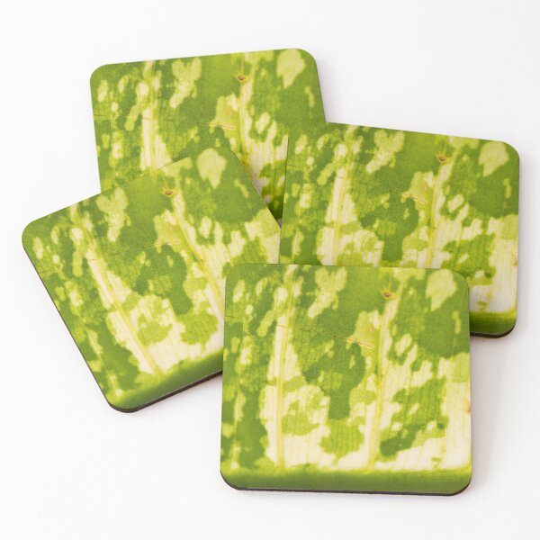 Item preview, Great Detail of a Leaf 03 designed and sold by ROSE ANN BANILAR.