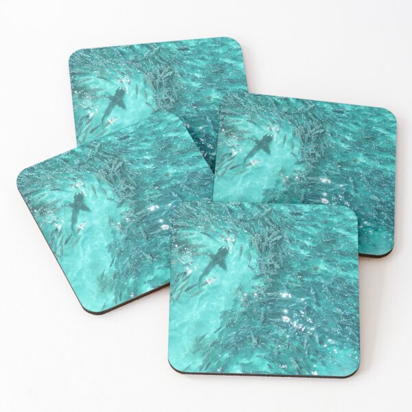 Item preview, Bronze Whaler Shark – Eyre Peninsula designed and sold by Images-on-Eyre.
