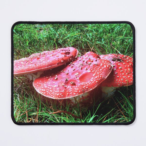 Item preview, Amanita Trio in Red designed and sold by Larry Davis.