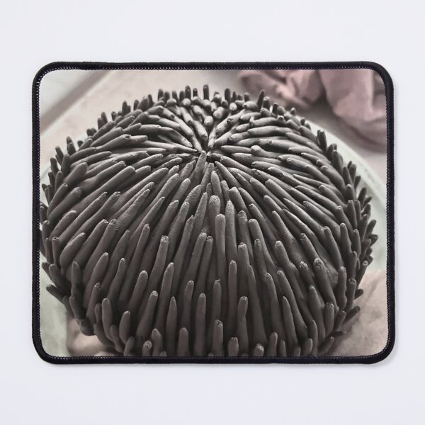 Item preview, Ceramic University Of Ottawa bStudio Dreams Flourish designed and sold by Chanfacesaround.