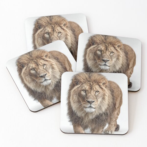 Item preview, Majestic lion photo with white background designed and sold by dcrc.