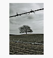 Drought Photographic Print