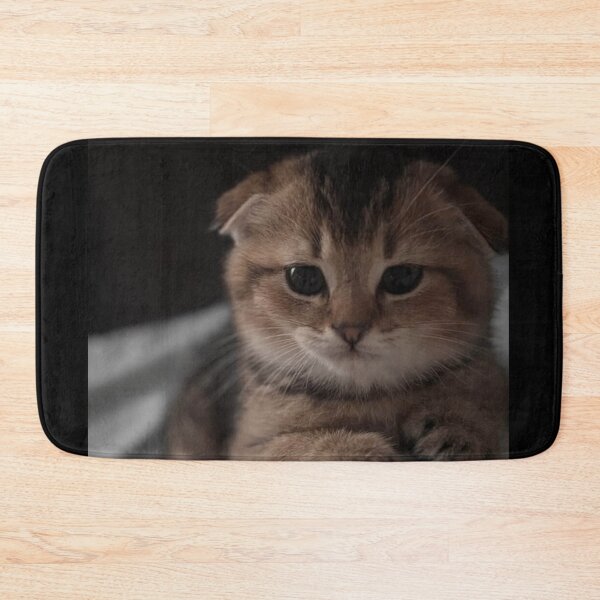 Item preview, Golden Fold Kitten Portrait designed and sold by Jesus-istheway.