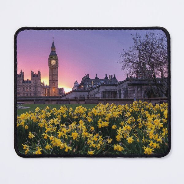 Item preview, Westminster in spring with blooming yellow daffodils designed and sold by Mauswohn.