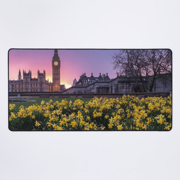 Item preview, Westminster in spring with blooming yellow daffodils designed and sold by Mauswohn.