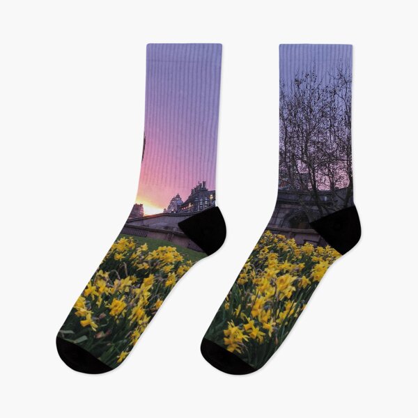 Item preview, Westminster in spring with blooming yellow daffodils designed and sold by Mauswohn.