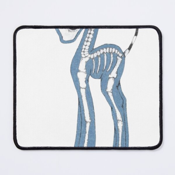 Item preview, unicorn skeleton designed and sold by bipsybutton.