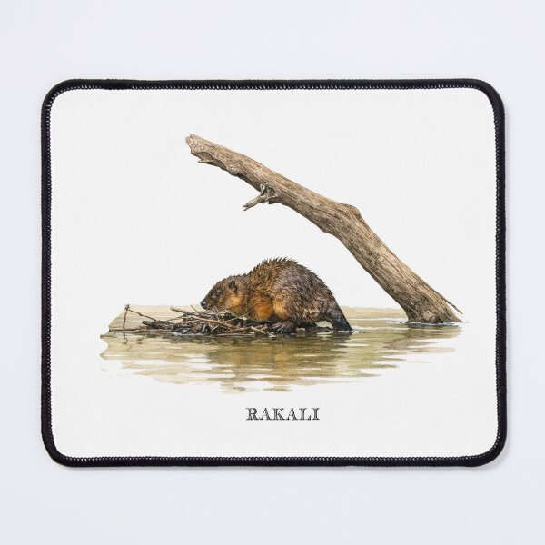 Item preview, Rakali designed and sold by Outback Geo Adventures.