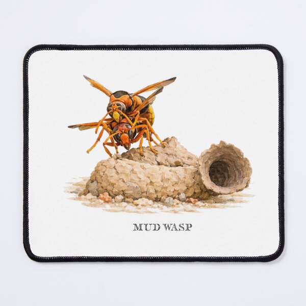 Item preview, Mud Wasp designed and sold by Outback Geo Adventures.