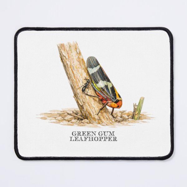 Item preview, Green Gum Leafhopper designed and sold by Outback Geo Adventures.