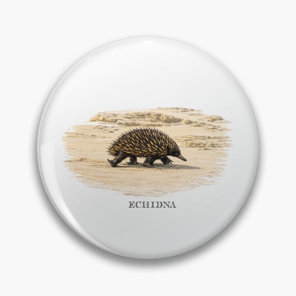 Item preview, Echidna designed and sold by Outback Geo Adventures.