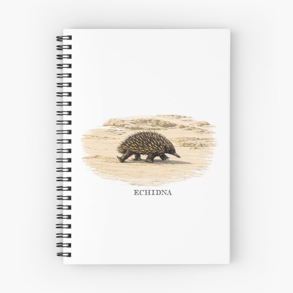 Item preview, Echidna designed and sold by Outback Geo Adventures.