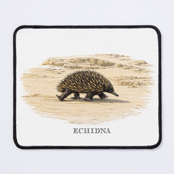 Item preview, Echidna designed and sold by Outback Geo Adventures.