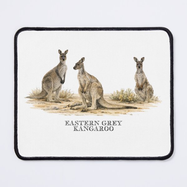 Item preview, Eastern Grey Kangaroo designed and sold by Outback Geo Adventures.