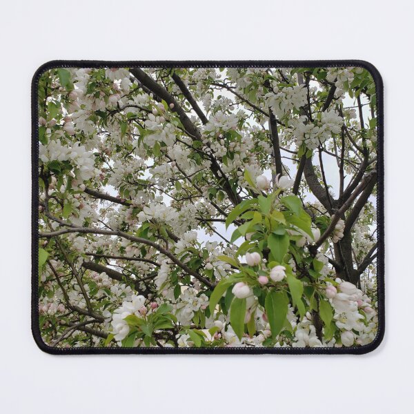 Item preview, Malus Evereste Blooms designed and sold by OfficialWestArt.