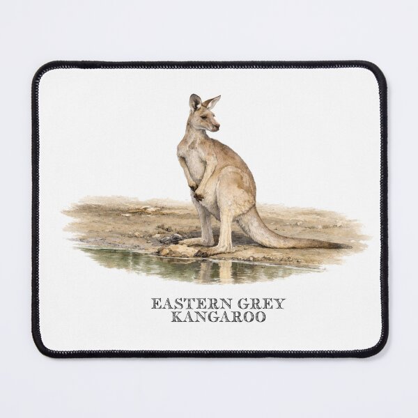 Item preview, Eastern Grey Kangaroo designed and sold by Outback Geo Adventures.