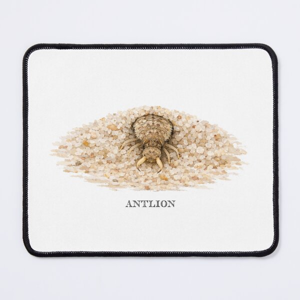Item preview, Antlion designed and sold by Outback Geo Adventures.