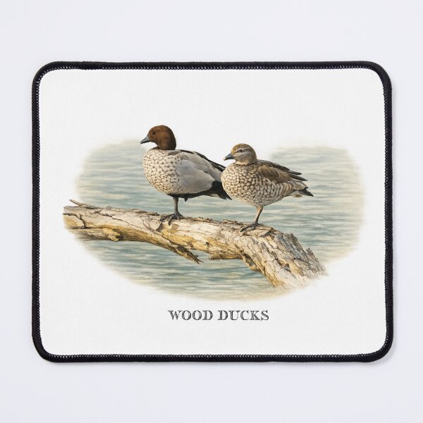Item preview, Wood Ducks designed and sold by Outback Geo Adventures.