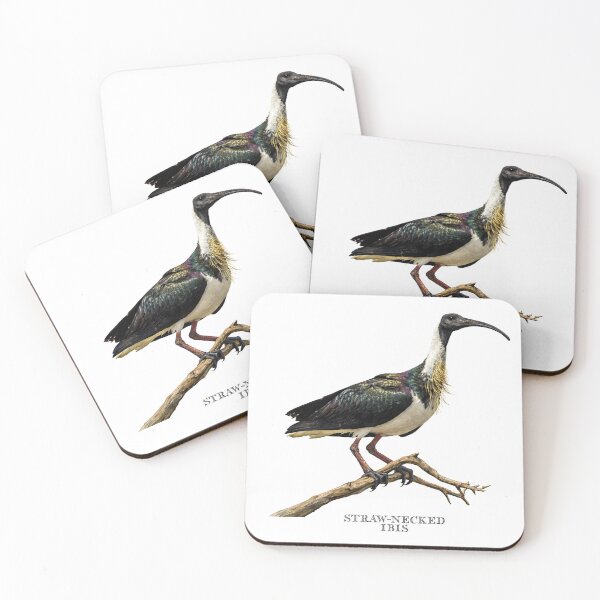 Item preview, Straw-necked Ibis  designed and sold by Outback Geo Adventures.