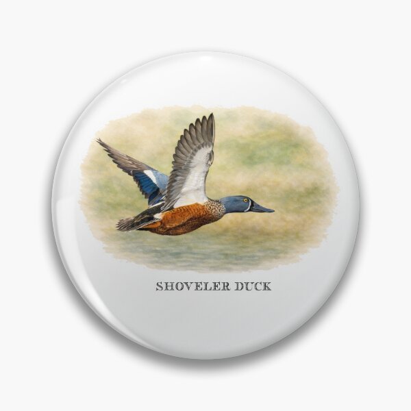 Item preview, Shoveler Duck  designed and sold by Outback Geo Adventures.