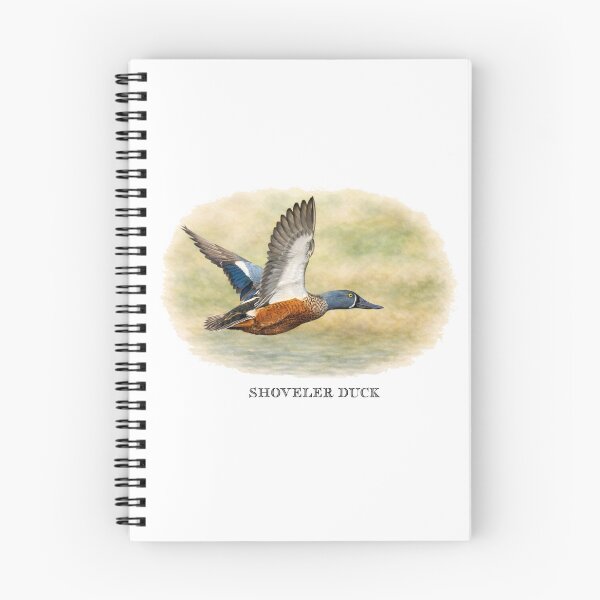 Item preview, Shoveler Duck  designed and sold by Outback Geo Adventures.