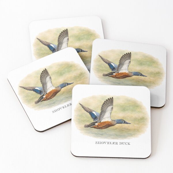 Item preview, Shoveler Duck  designed and sold by Outback Geo Adventures.
